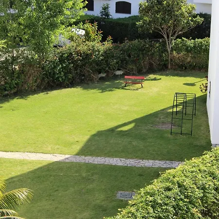 Pool And Garden *