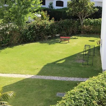 Pool And Garden *